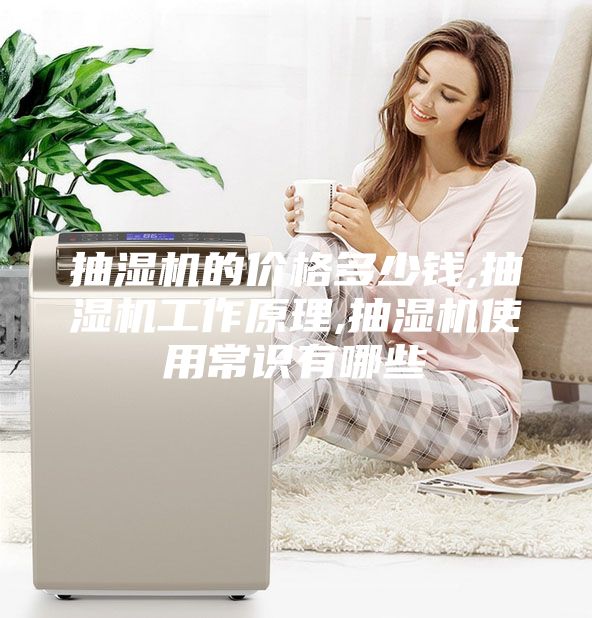 抽湿机的价格多少钱,抽湿机工作原理,抽湿机使用常识有哪些