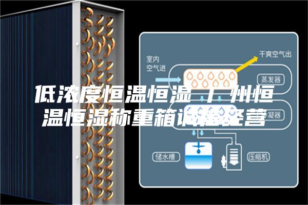 低浓度恒温恒湿 广州恒温恒湿称重箱诚信经营