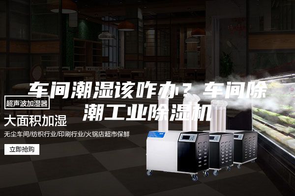 车间潮湿该咋办？车间除潮工业除湿机