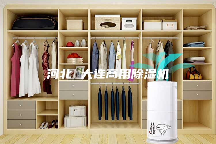 河北 大连商用除湿机