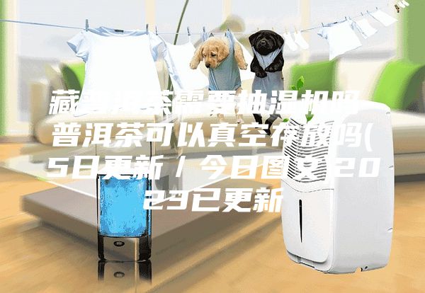 藏普洱茶需要抽湿机吗-普洱茶可以真空存放吗(5日更新／今日图文)2023已更新