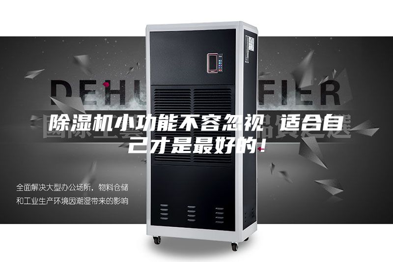 除湿机小功能不容忽视 适合自己才是最好的！