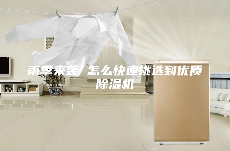 雨季来袭 怎么快速挑选到优质除湿机