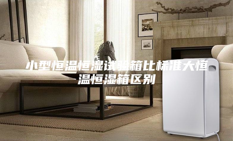 小型恒温恒湿试验箱比标准大恒温恒湿箱区别