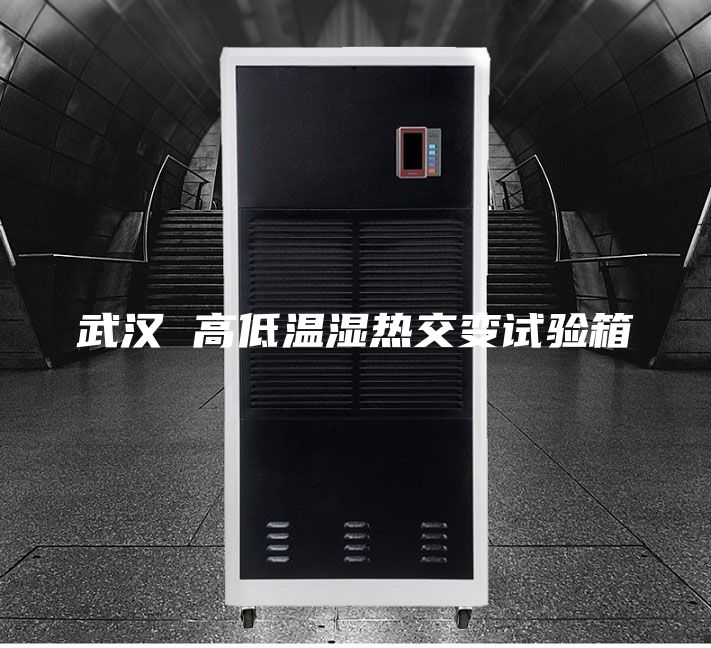 武汉 高低温湿热交变试验箱