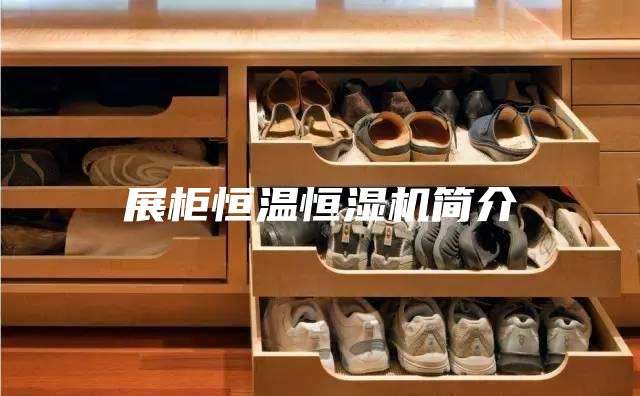 展柜恒温恒湿机简介