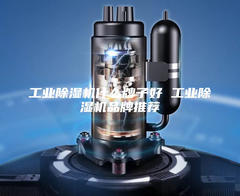 工业除湿机什么牌子好 工业除湿机品牌推荐