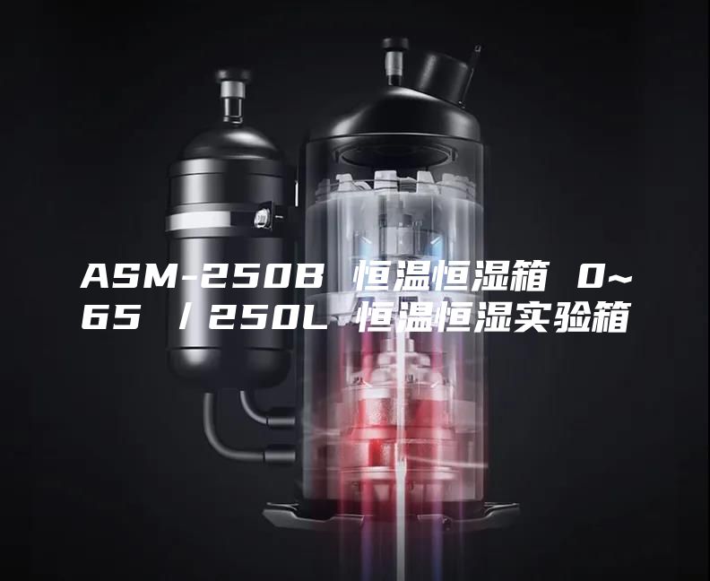ASM-250B 恒温恒湿箱 0~65℃／250L 恒温恒湿实验箱