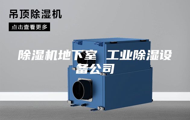 除湿机地下室 工业除湿设备公司