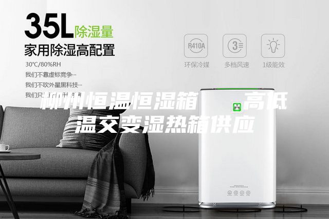 柳州恒温恒湿箱   高低温交变湿热箱供应