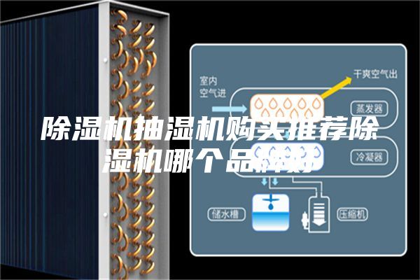除湿机抽湿机购买推荐除湿机哪个品牌好