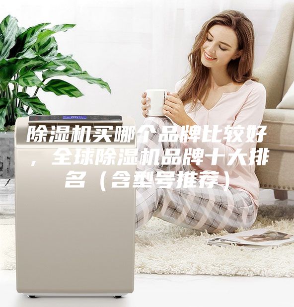除湿机买哪个品牌比较好，全球除湿机品牌十大排名（含型号推荐）
