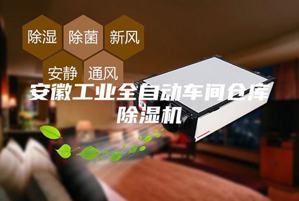 安徽工业全自动车间仓库除湿机