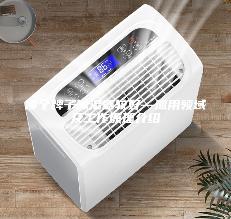 哪个牌子除湿器较好—应用领域及工作原理介绍