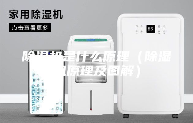 除湿机是什么原理（除湿机原理及图解）