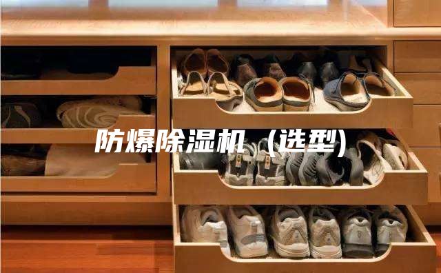 防爆除湿机 (选型)