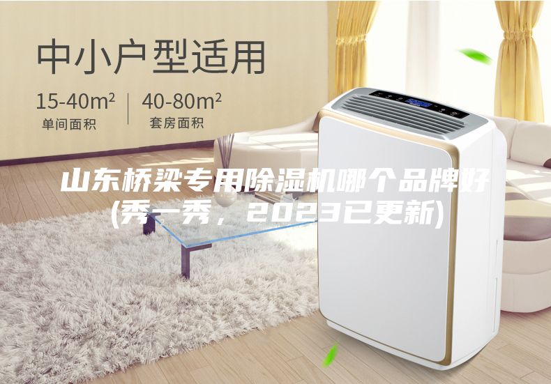 山东桥梁专用除湿机哪个品牌好(秀一秀，2023已更新)