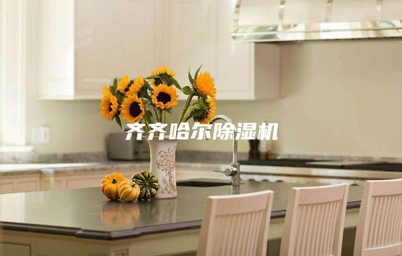 齐齐哈尔除湿机