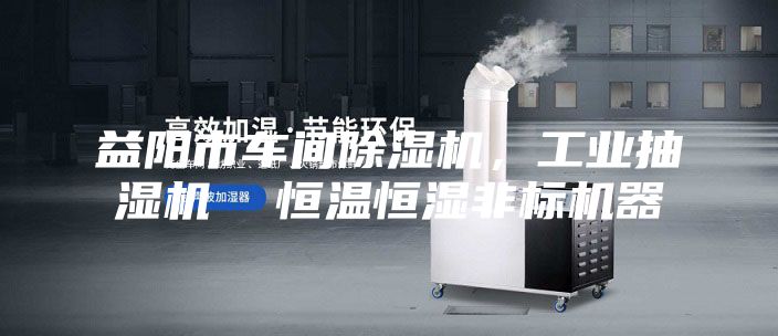 益阳市车间除湿机，工业抽湿机  恒温恒湿非标机器