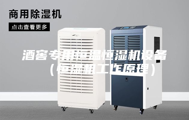酒窖专用恒温恒湿机设备（恒湿机工作原理）