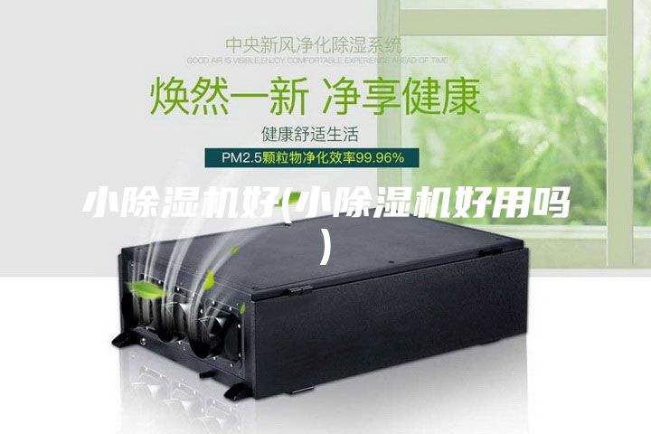 小除湿机好(小除湿机好用吗)
