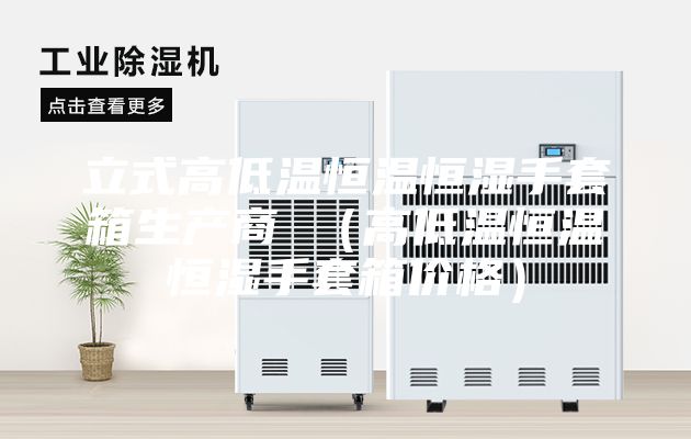 立式高低温恒温恒湿手套箱生产商 （高低温恒温恒湿手套箱价格）