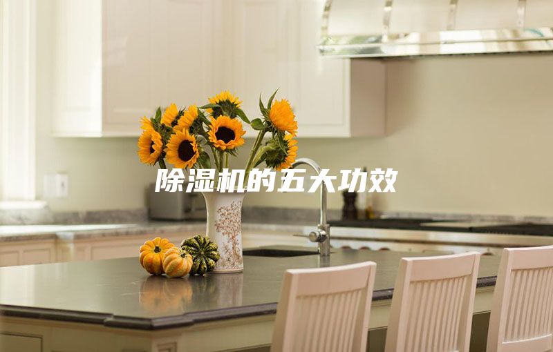 除湿机的五大功效
