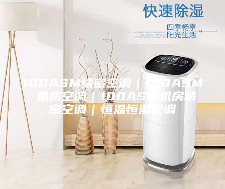 100ASM精密空调｜100ASM 机房空调｜100ASM机房精密空调｜恒温恒湿空调