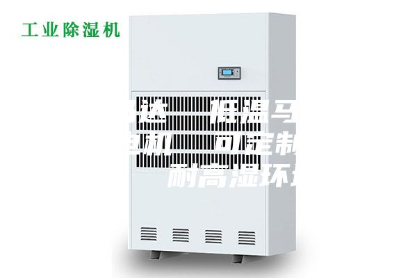 高温马达  低温马达  步进电机  可定制防盐雾  耐高湿环境