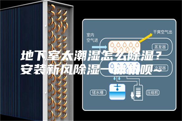 地下室太潮湿怎么除湿？安装新风除湿一体机呗~