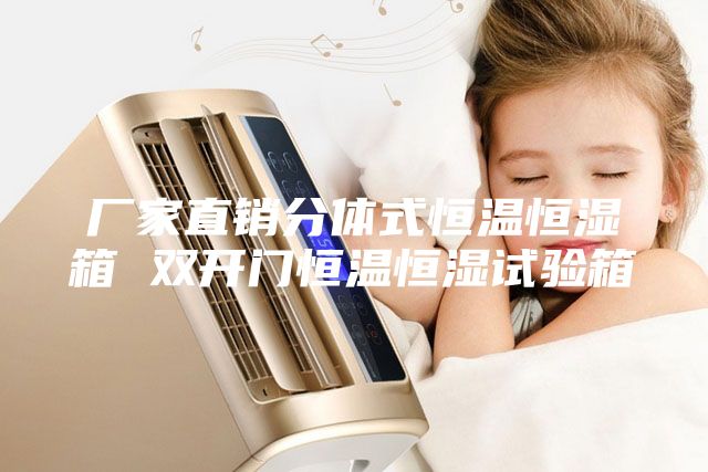 厂家直销分体式恒温恒湿箱 双开门恒温恒湿试验箱