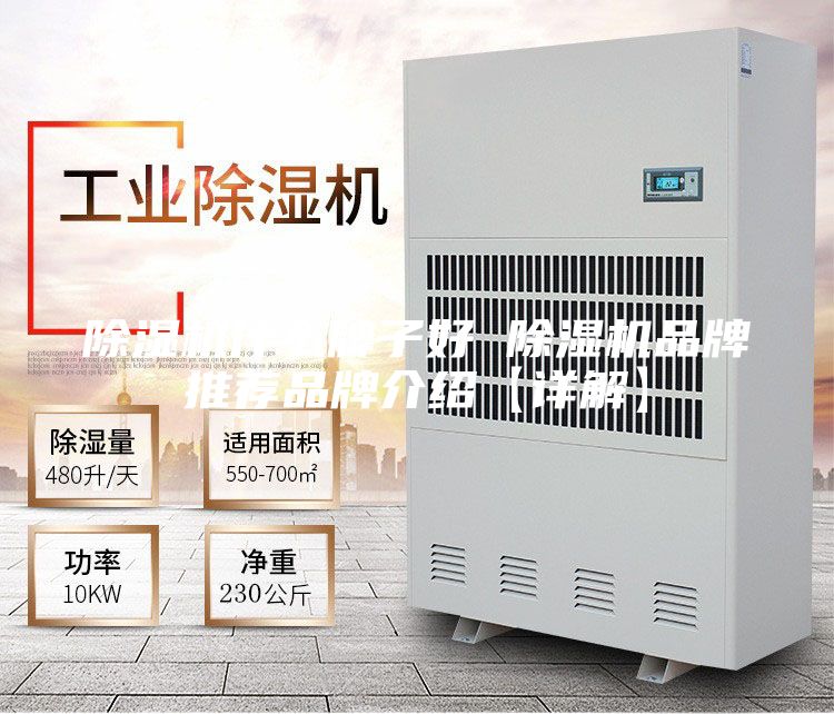 除湿机什么牌子好 除湿机品牌推荐品牌介绍【详解】