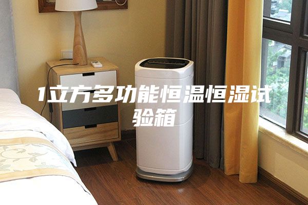 1立方多功能恒温恒湿试验箱