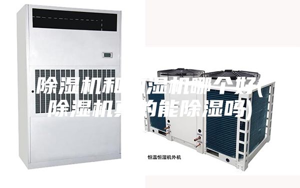 除湿机和抽湿机哪个好(除湿机真的能除湿吗)