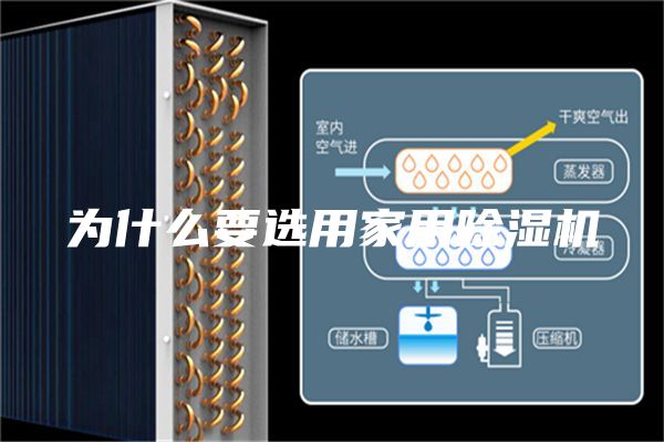 为什么要选用家用除湿机