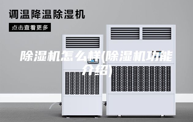 除湿机怎么样(除湿机功能介绍)