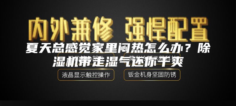 夏天总感觉家里闷热怎么办？除湿机带走湿气还你干爽