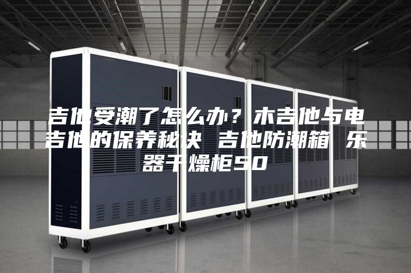 吉他受潮了怎么办？木吉他与电吉他的保养秘诀 吉他防潮箱 乐器干燥柜50