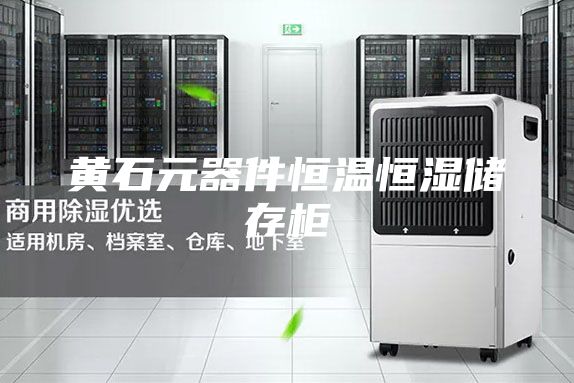 黄石元器件恒温恒湿储存柜