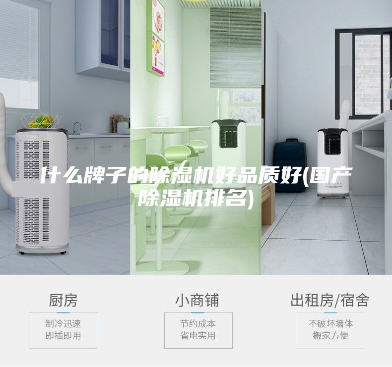 什么牌子的除湿机好品质好(国产除湿机排名)