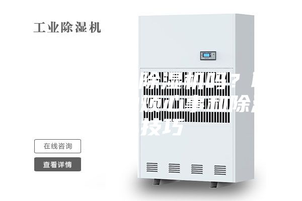 你真的需要除湿机吗？聊聊我碰到的烦心事和除湿小技巧