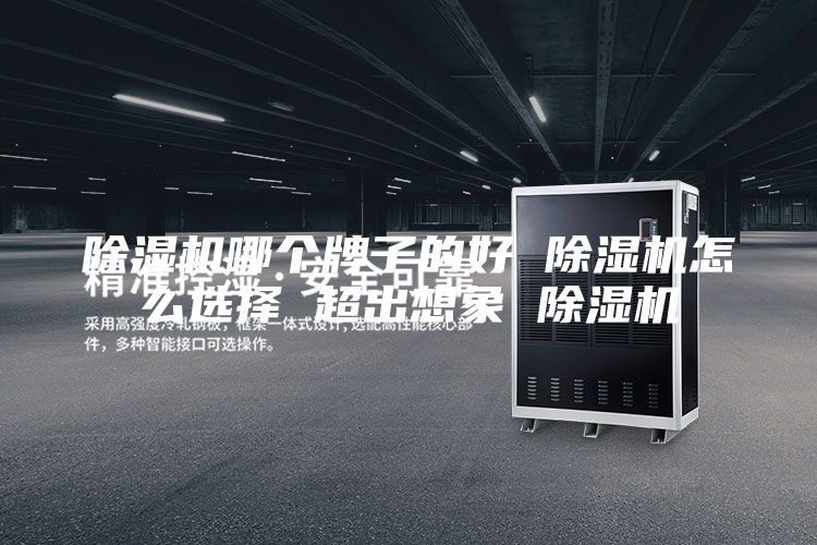 除湿机哪个牌子的好 除湿机怎么选择 超出想象 除湿机