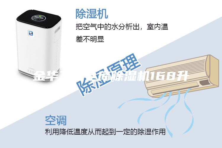 金华工业仓库除湿机168升