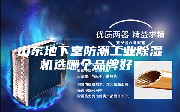山东地下室防潮工业除湿机选哪个品牌好？