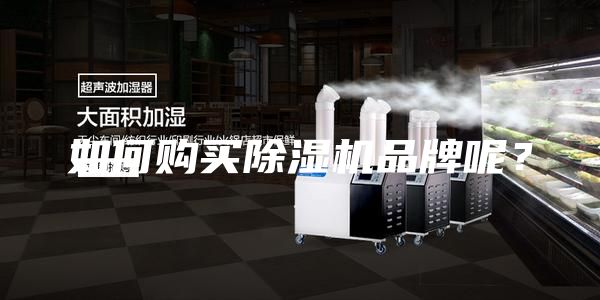 如何购买除湿机品牌呢？