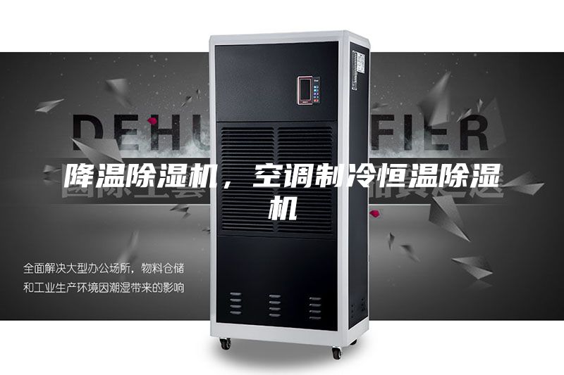 降温除湿机，空调制冷恒温除湿机