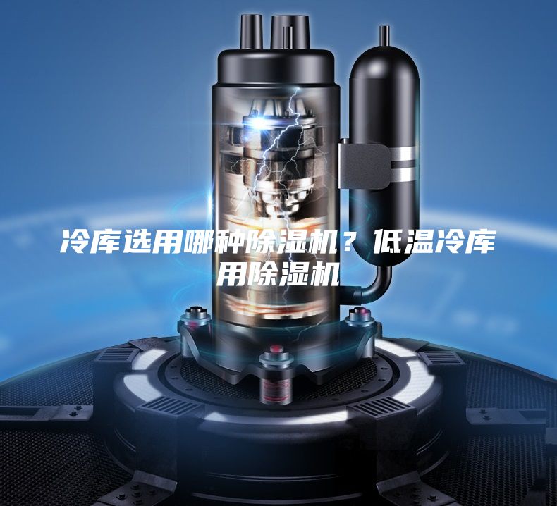冷库选用哪种除湿机？低温冷库用除湿机