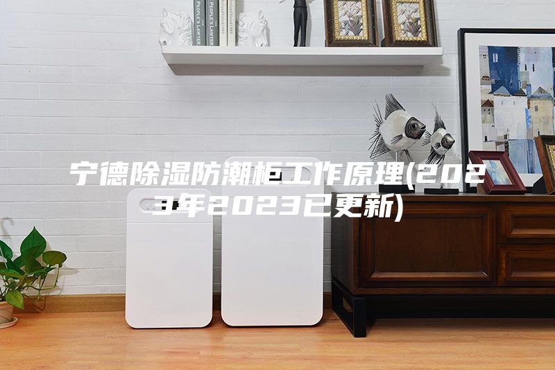 宁德除湿防潮柜工作原理(2023年2023已更新)