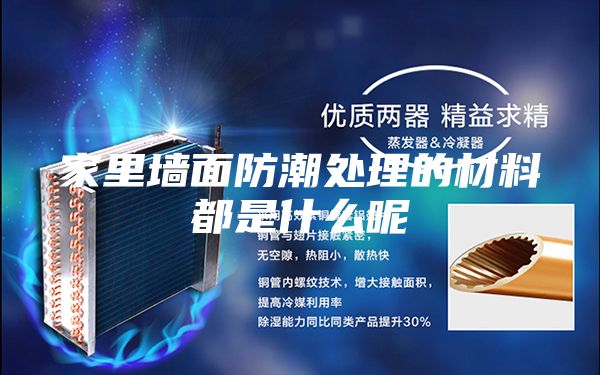 家里墙面防潮处理的材料都是什么呢