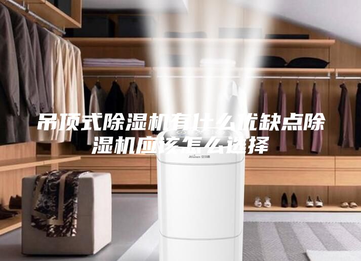 吊顶式除湿机有什么优缺点除湿机应该怎么选择